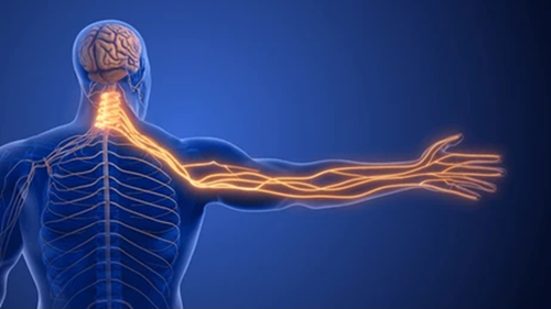Nerve Compression Treatment in Physiotherapy